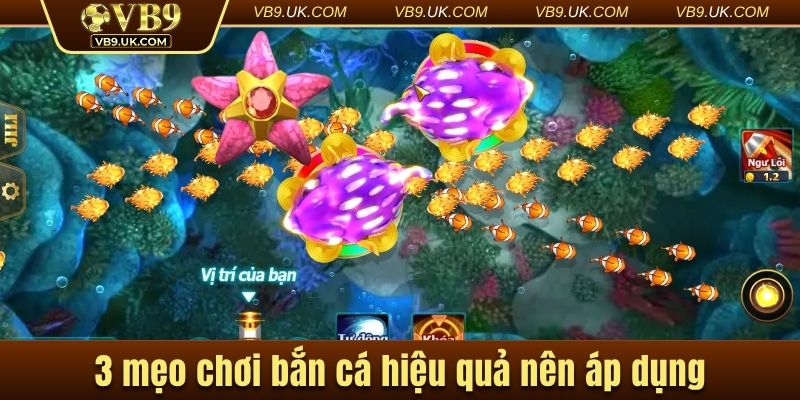 3 mẹo chơi bắn cá hiệu quả nên áp dụng