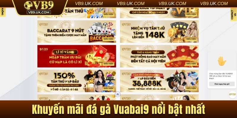 Khuyến mãi đá gà Vuabai9 nổi bật nhất