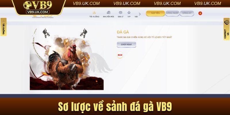 Sơ lược về đá gà VB9